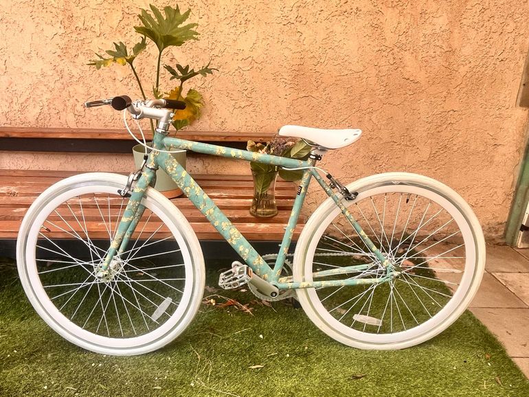 Used Sole Sole Custom Single Speed / Fixed Gear 2026 Road & Gravel, White — image 1 of 8