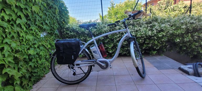 Used Flyer Flyer Custom Shimano Nexus Hub Gear Urban, Light Gray — image 1 of 20