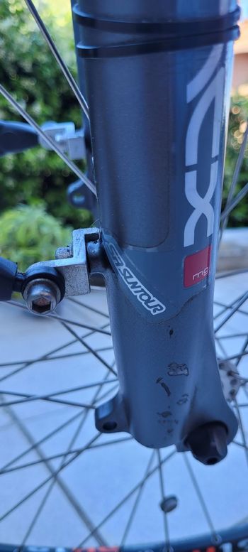 Used Flyer Flyer Custom Shimano Nexus Hub Gear Urban, Light Gray — image 15 of 20