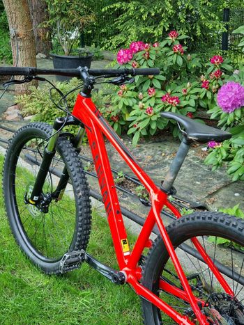 Used Canyon Grand Canyon AL 6.0 2020 2020 Mountainbike, Red, 27.5, 29 — image 8 of 10