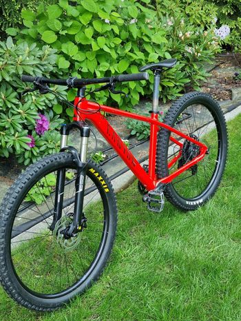 Used Canyon Grand Canyon AL 6.0 2020 2020 Mountainbike, Red, 27.5, 29 — image 7 of 10