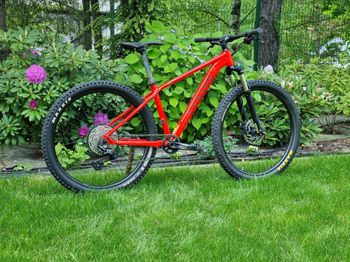 Used Canyon Grand Canyon AL 6.0 2020 2020 Mountainbike, Red, 27.5, 29 — image 2 of 10