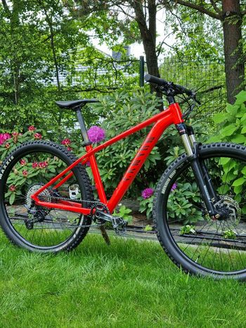 Used Canyon Grand Canyon AL 6.0 2020 2020 Mountainbike, Red, 27.5, 29 — image 3 of 10