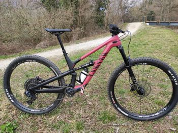 Used Canyon Spectral 29 CF 7 2022 2022 MTB