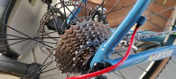 Used Cinelli ZYDECO LALA - SHIMANO SORA 9V 2024 2024 Road & Gravel — image 5 of 10