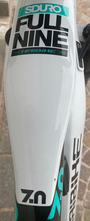 Used Haibike SDURO FullNine 7.0 2020 2020 Mountainbike, White, 29 — image 2 of 7