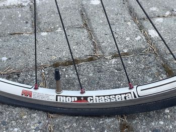 Used Battaglin Battaglin Vortex Unicarbon Team Panaria 2004 2004 Road & Gravel, Blue — image 6 of 14