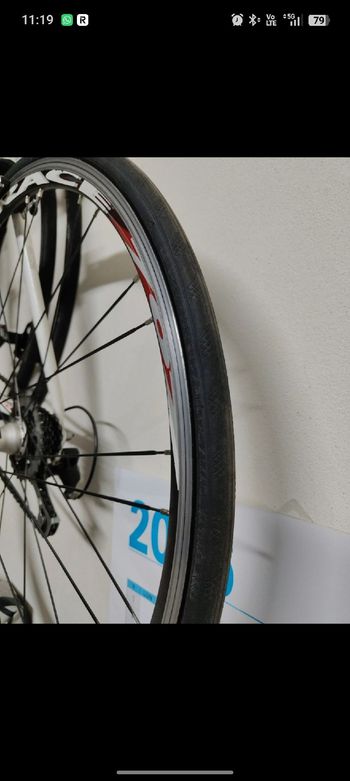 Used Olympia Olympia Custom Campagnolo Veloce 2012 Road & Gravel, White — image 8 of 10