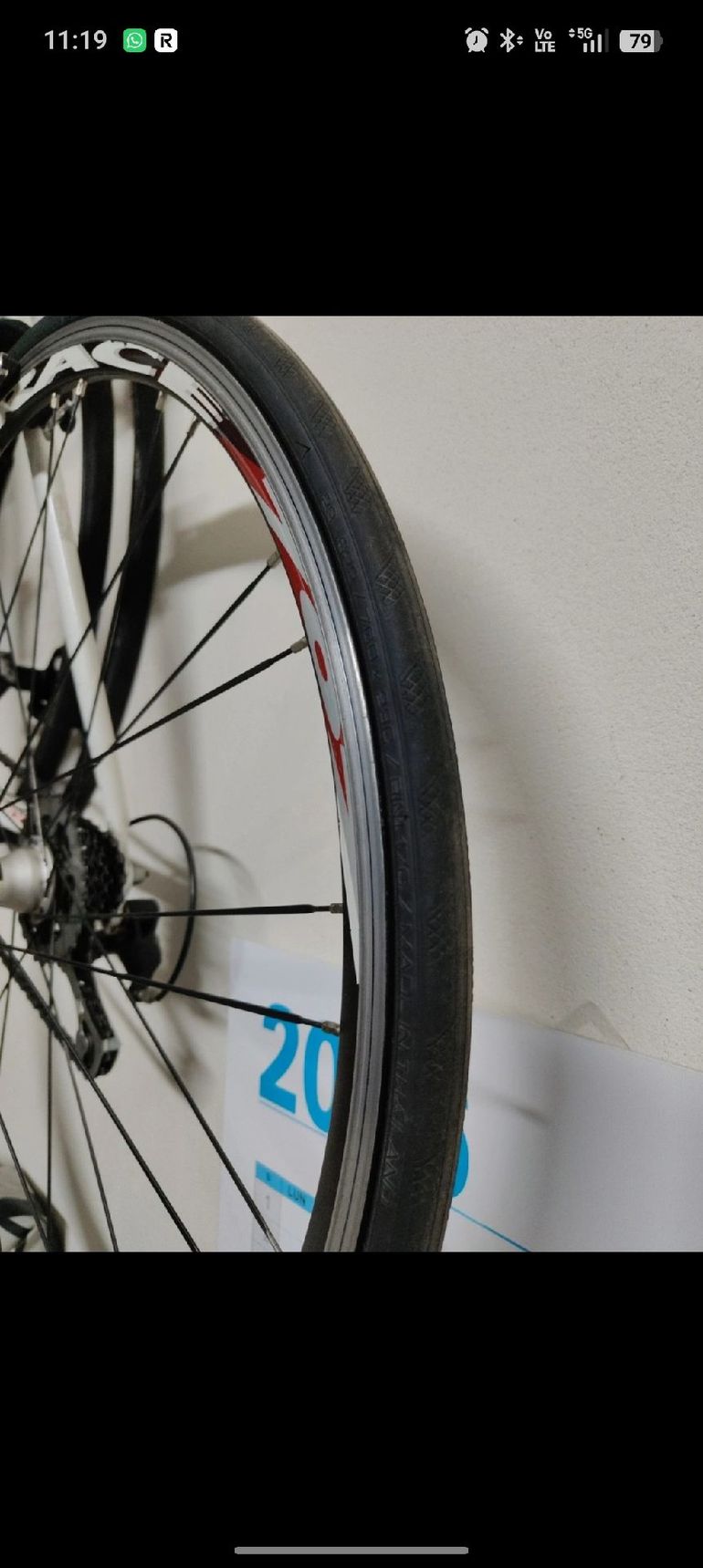 Used Olympia Olympia Custom Campagnolo Veloce 2012 Road & Gravel, White — image 8 of 10
