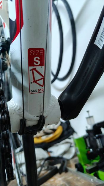 Used Olympia Olympia Custom Campagnolo Veloce 2012 Road & Gravel, White — image 5 of 10