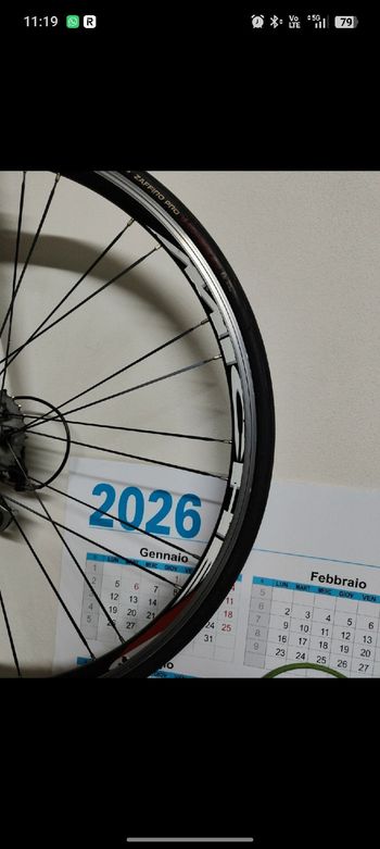 Used Olympia Olympia Custom Campagnolo Veloce 2012 Road & Gravel, White — image 9 of 10