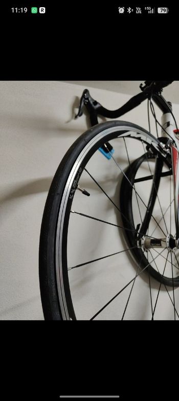 Used Olympia Olympia Custom Campagnolo Veloce 2012 Road & Gravel, White — image 2 of 10