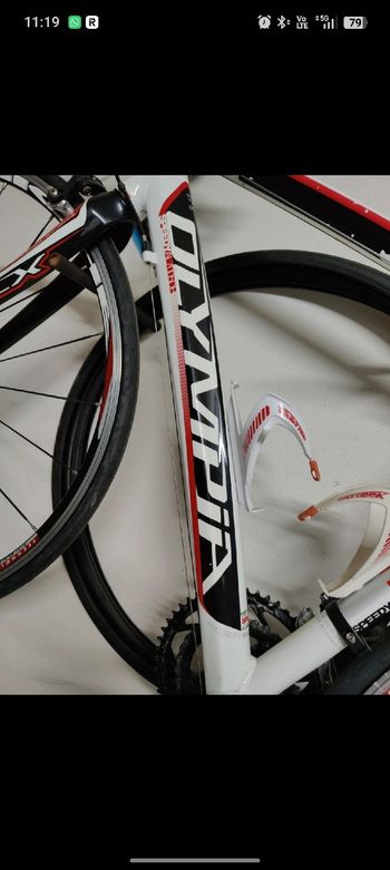 Used Olympia Olympia Custom Campagnolo Veloce 2012 Road & Gravel, White — image 7 of 10