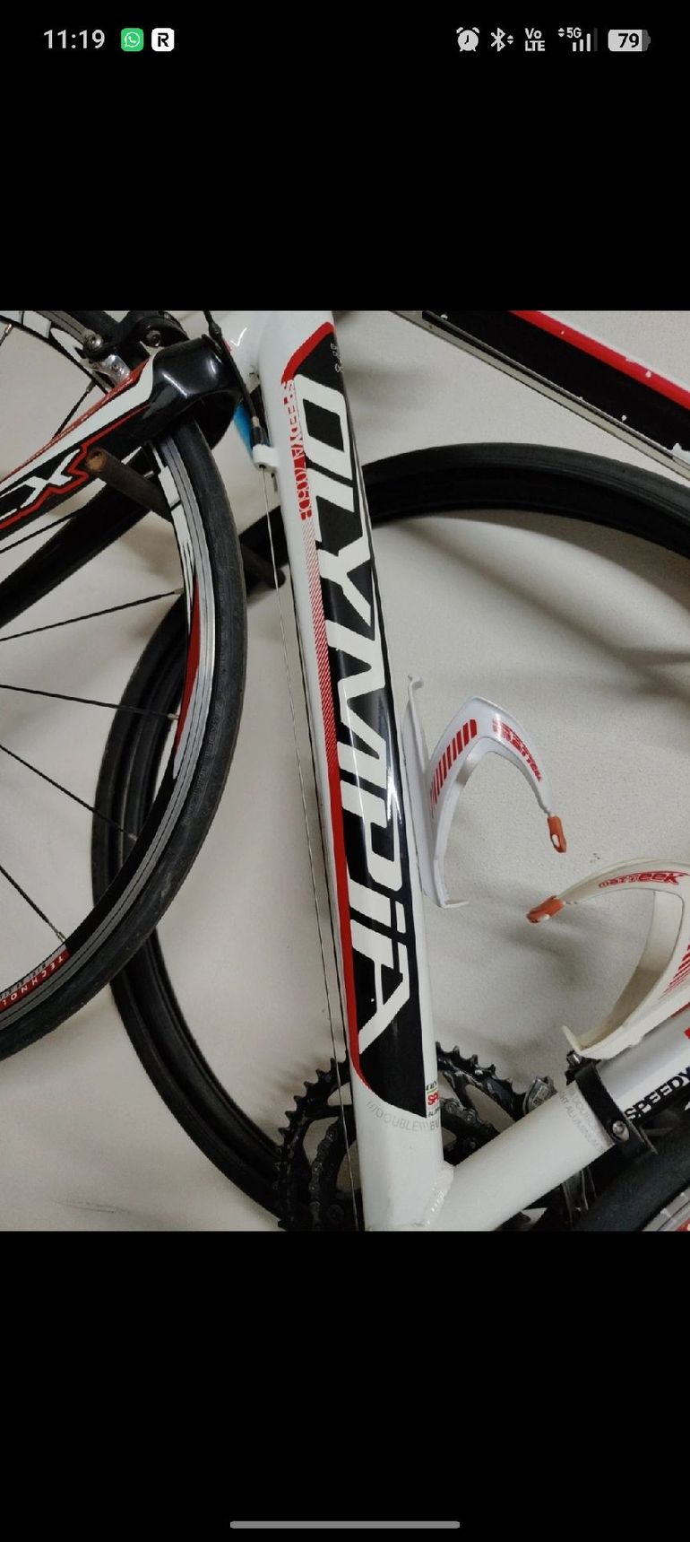 Used Olympia Olympia Custom Campagnolo Veloce 2012 Road & Gravel, White — image 7 of 10