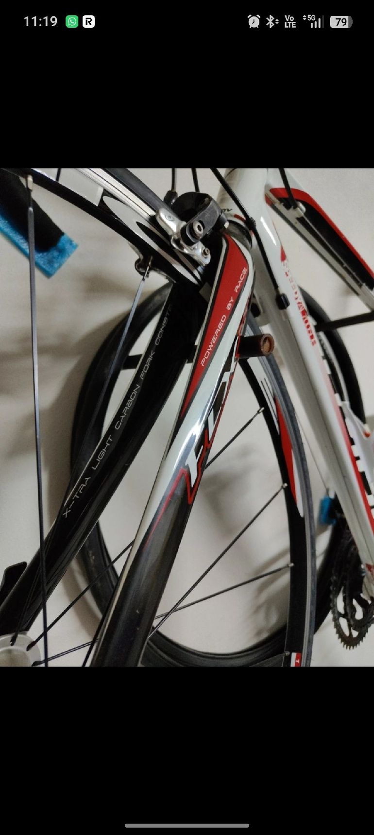 Used Olympia Olympia Custom Campagnolo Veloce 2012 Road & Gravel, White — image 6 of 10