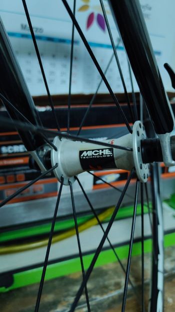 Used Olympia Olympia Custom Campagnolo Veloce 2012 Road & Gravel, White — image 4 of 10