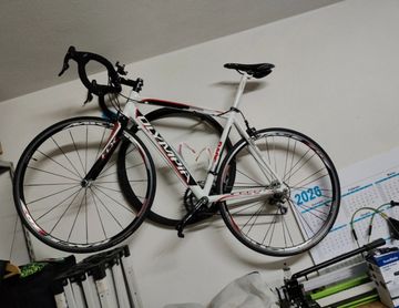 Used Olympia Custom Campagnolo Veloce 2012 Road & Gravel