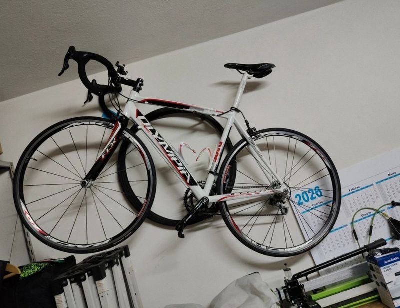 Tweedehands Olympia Custom Campagnolo Veloce 2012 Road & Gravel