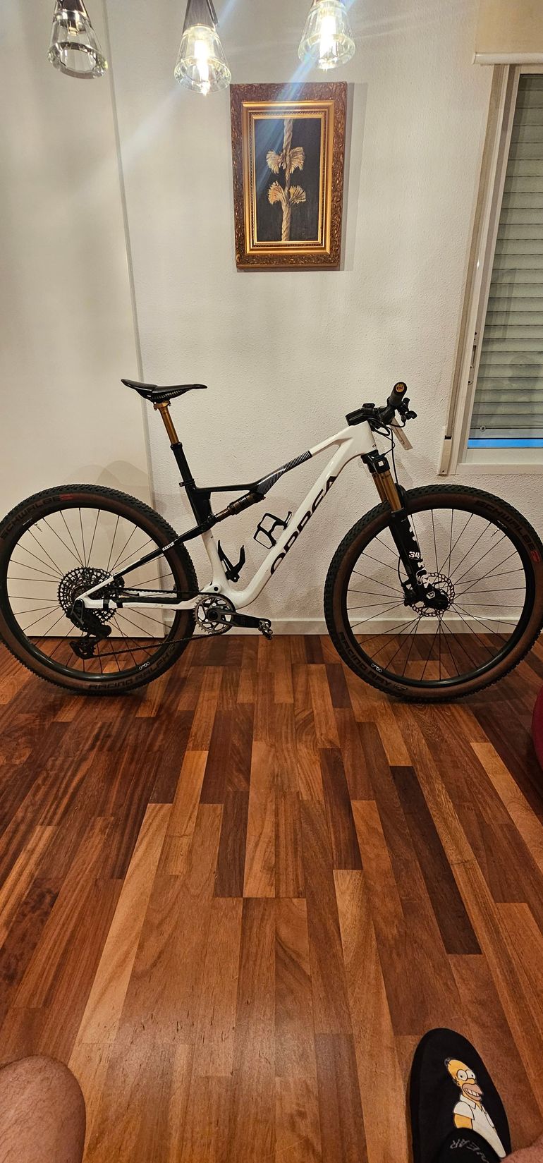 Used Orbea OIZ M-TEAM AXS 2024 2024 Mountainbike — image 11 of 11