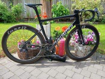 Used Specialized Tarmac SL8 Pro - Ultegra Di2 2025 2025 Road & Gravel