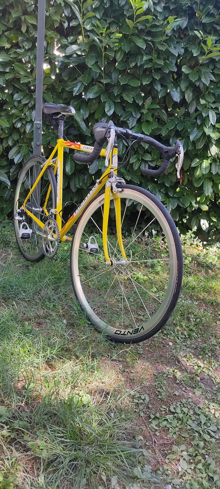 Used Pinarello STELVIO 1990 1990 Road & Gravel — image 5 of 6