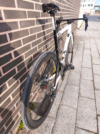 Used Cannondale SuperSix EVO Carbon Disc Ultegra 2021 2021 Road & Gravel, White — image 3 of 6