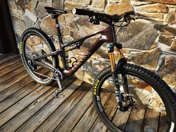 Used Canyon Neuron CF LTD 2024 2024 MTB