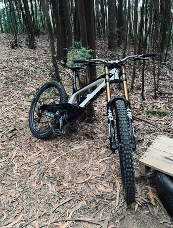 Used Yt tues Cf YT Tues CF Pro 2018 2019 Mountainbike, White — image 3 of 5