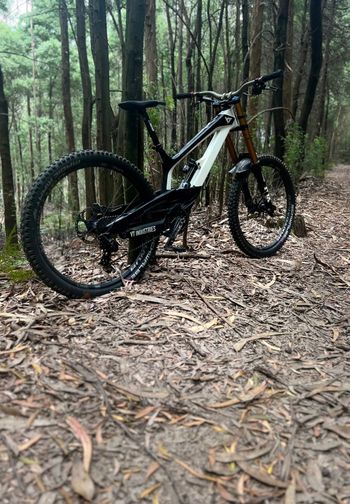 Used Yt tues Cf YT Tues CF Pro 2018 2019 Mountainbike, White — image 2 of 5