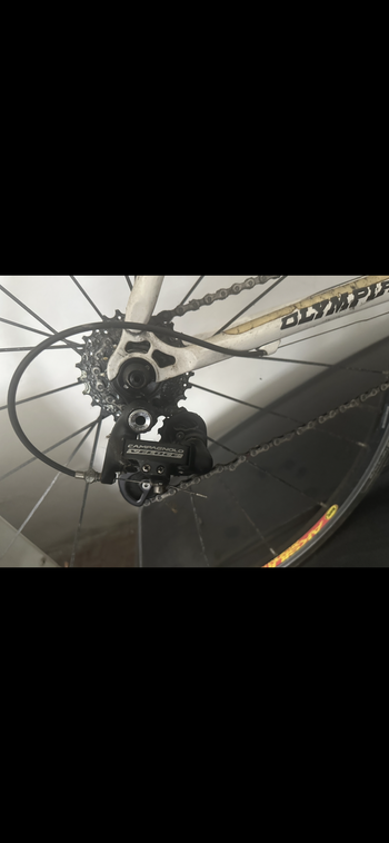 Used Olympia Evo Campagnolo Veloce 2014 Road & Gravel, Weiß — image 4 of 7