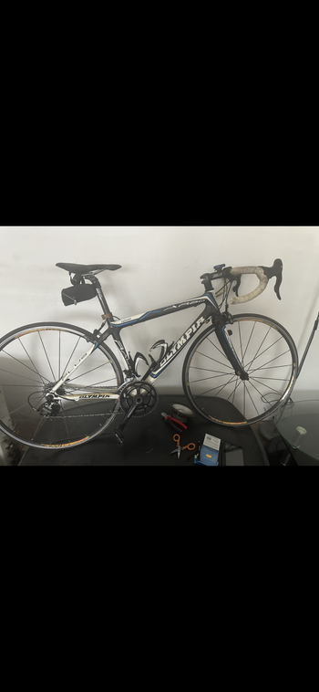 Used Olympia Evo Campagnolo Veloce 2014 Road & Gravel