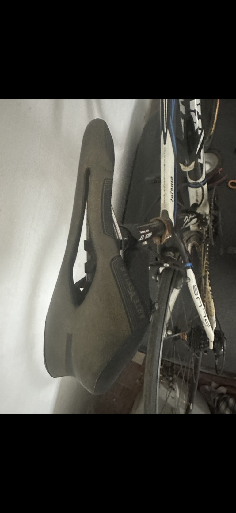Used Olympia Evo Campagnolo Veloce 2014 Road & Gravel, Weiß — image 6 of 7
