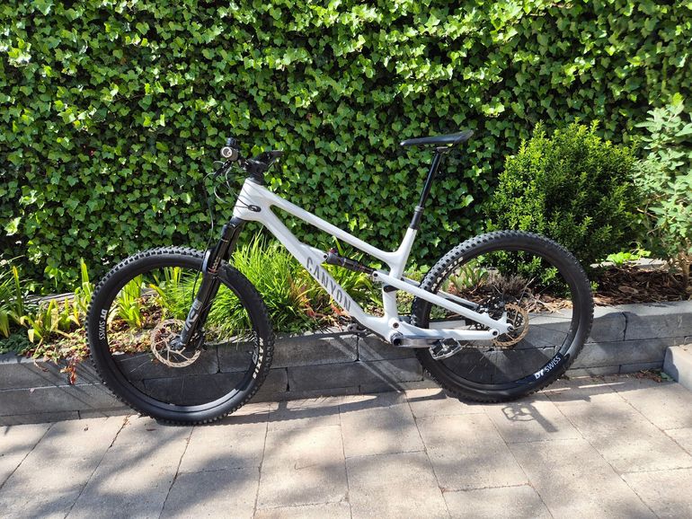 Used Canyon Spectral 125 CF 7 2022 2022 Mountainbike, White, 29 — image 2 of 4