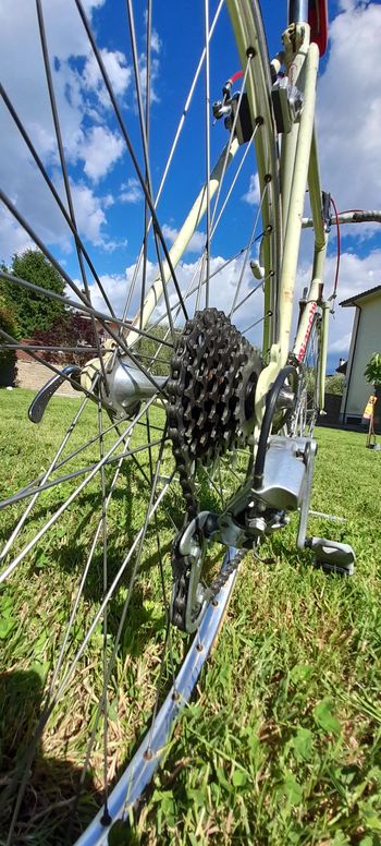 Used Bianchi Bianchi Mod Ubi Alibrati 1-20 1990 Road & Gravel — image 6 of 11