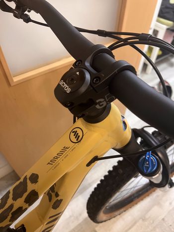 Used Canyon Torque 29 AL 6 2022 2022 Mountainbike, Naranja — image 5 of 13
