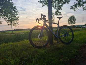 Used Canyon Endurace CF SLX Di2 2020 2020 Road & Gravel — image 12 of 13