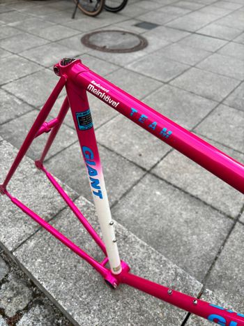 Used Giant Giant Custom Frameset 1993 Road & Gravel, Violett — image 6 of 8