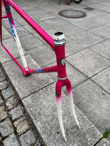 Used Giant Giant Custom Frameset 1993 Road & Gravel, Violett — image 7 of 8