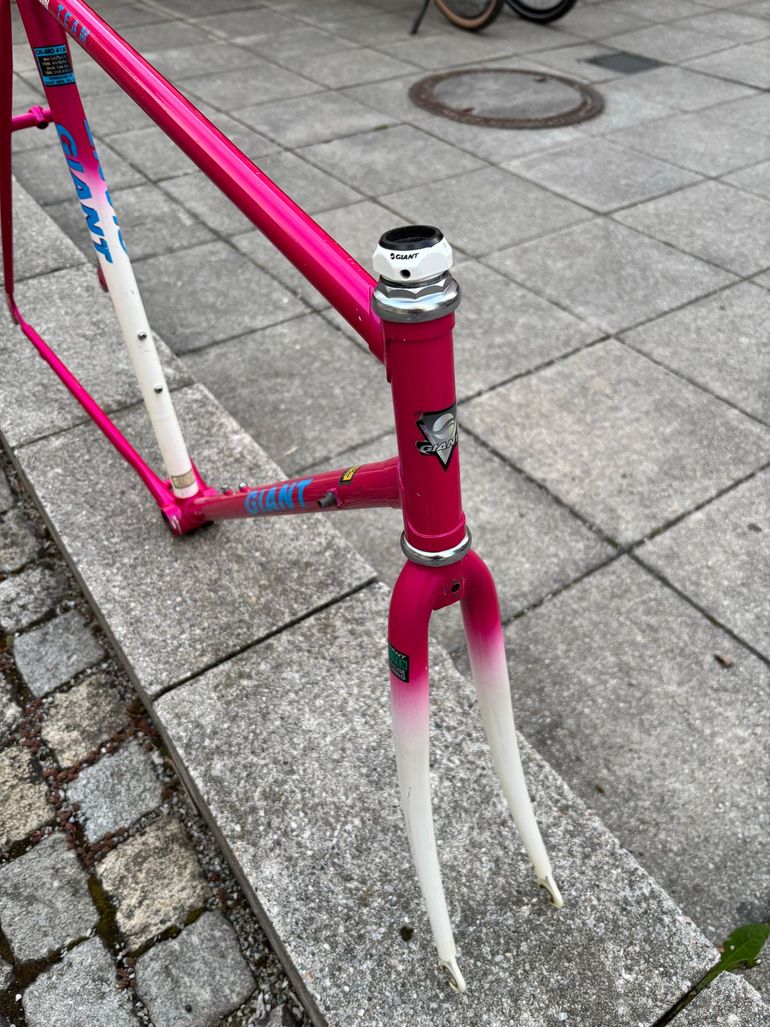 Used Giant Giant Custom Frameset 1993 Road & Gravel, Violett — image 7 of 8