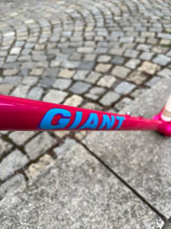Used Giant Giant Custom Frameset 1993 Road & Gravel, Violett — image 8 of 8