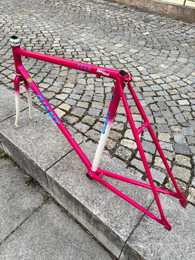 Used Giant Giant Custom Frameset 1993 Road & Gravel, Violett — image 2 of 8