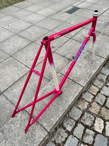 Used Giant Giant Custom Frameset 1993 Road & Gravel, Violett — image 5 of 8