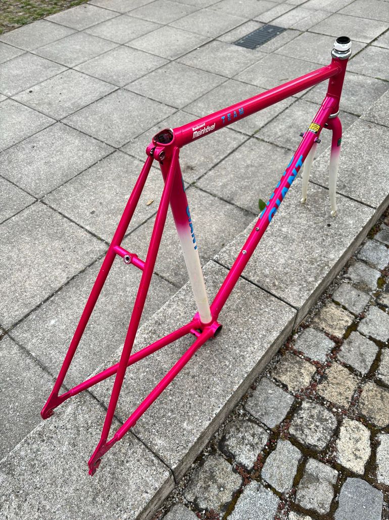 Used Giant Giant Custom Frameset 1993 Road & Gravel, Violett — image 5 of 8