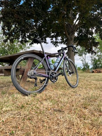 Used Giant TCR Advanced Pro Frameset 2025 Frameset 2025 Road & Gravel, Violett — image 6 of 9