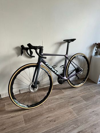 Used Giant TCR Advanced Pro Frameset 2025 Frameset 2025 Road & Gravel