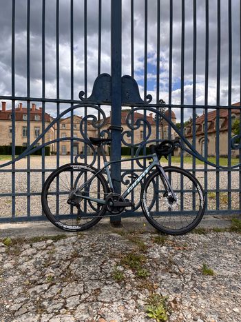 Used Giant TCR Advanced Pro Frameset 2025 Frameset 2025 Road & Gravel, Violett — image 8 of 9