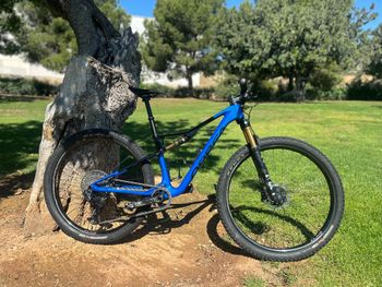 Used Orbea OIZ M-TEAM AXS 2024 2024 Mountainbike, Blue, 29 — image 14 of 17