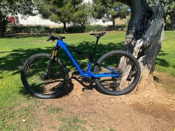 Used Orbea OIZ M-TEAM AXS 2024 2024 Mountainbike, Blue, 29 — image 17 of 17