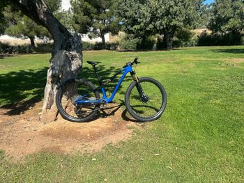 Used Orbea OIZ M-TEAM AXS 2024 2024 Mountainbike, Blue, 29 — image 13 of 17