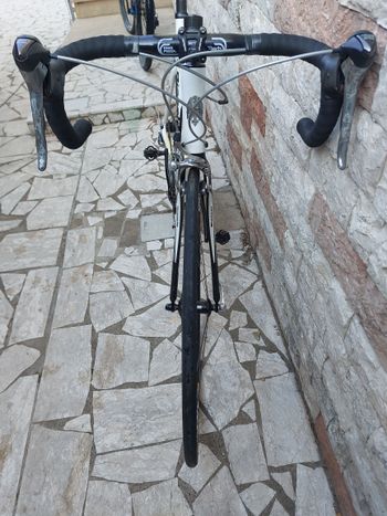Used Bianchi 928 Carbon C2C 2008 Road & Gravel, White — image 3 of 15